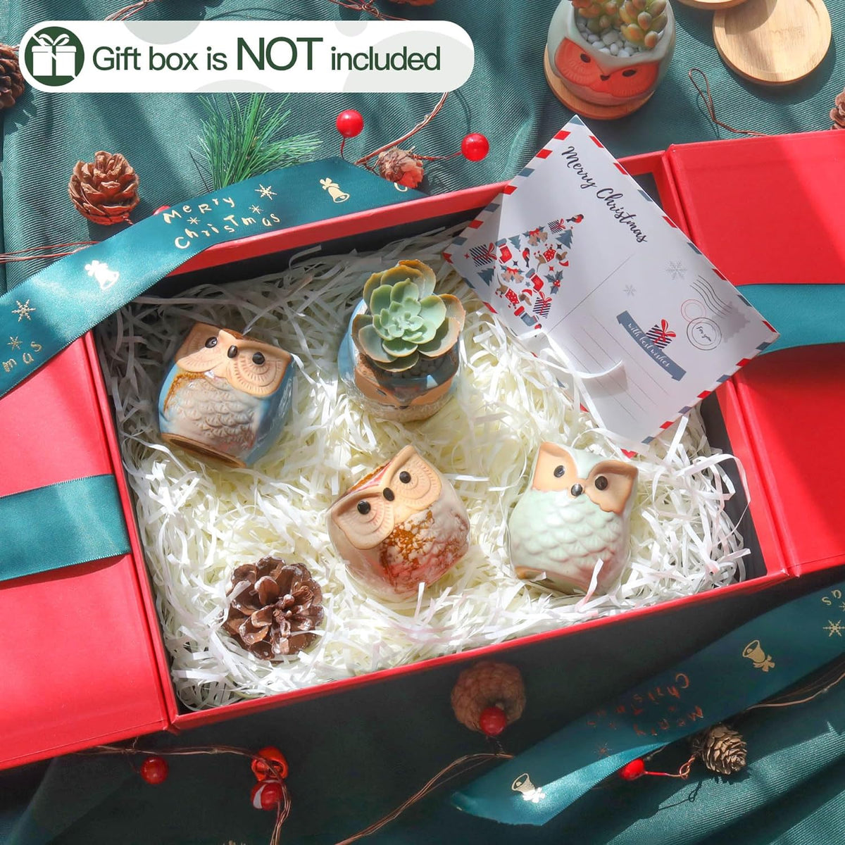T4U 2.5 Inch Owl Ceramic Succulent Planter Pots with Drainage Hole Set of 12, Mini Cactus Pots Tiny