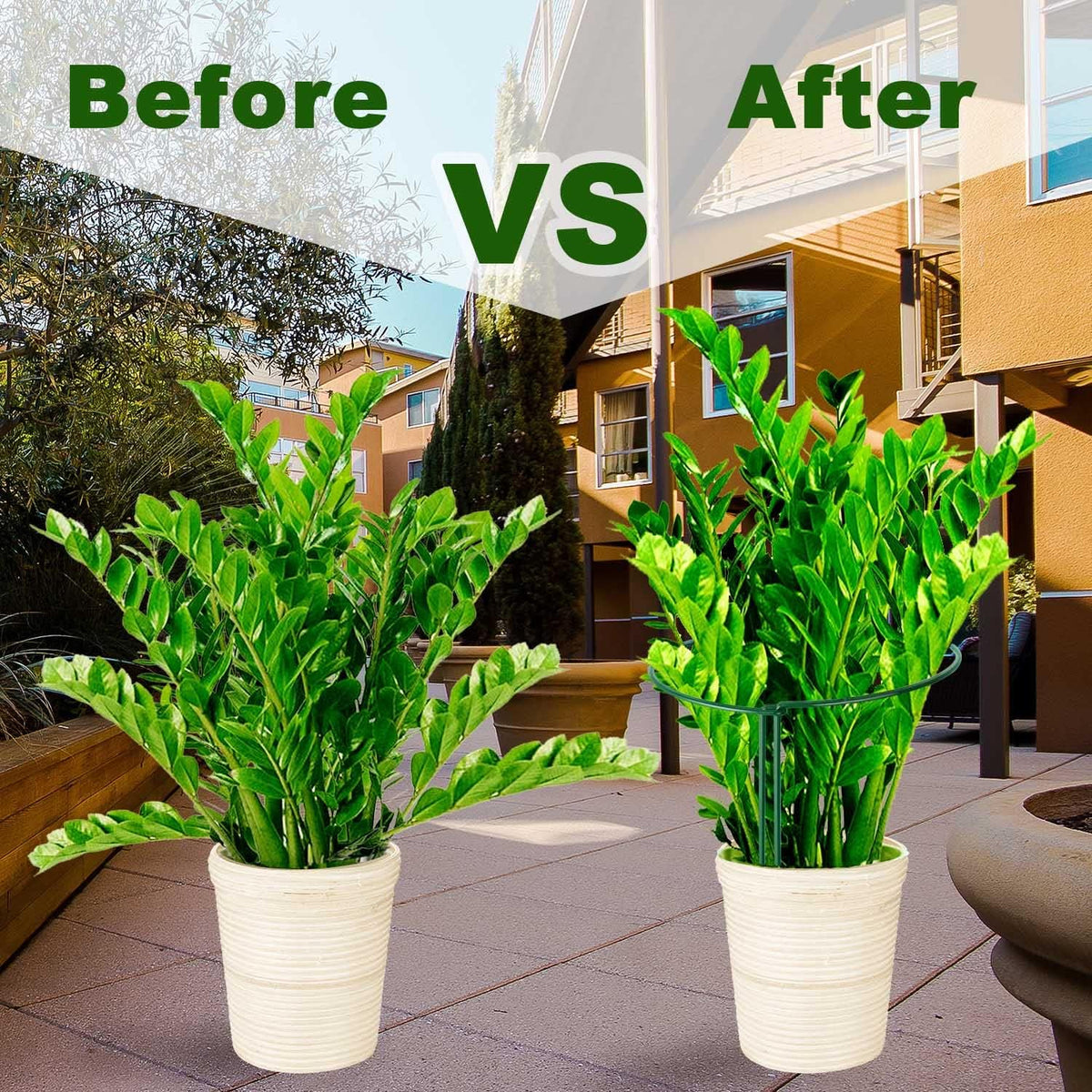 HiGift 10 Pack Peony Cages and Supports, 10" (W) x 16"(H) Plant Support, Heavy Duty Metal Plant