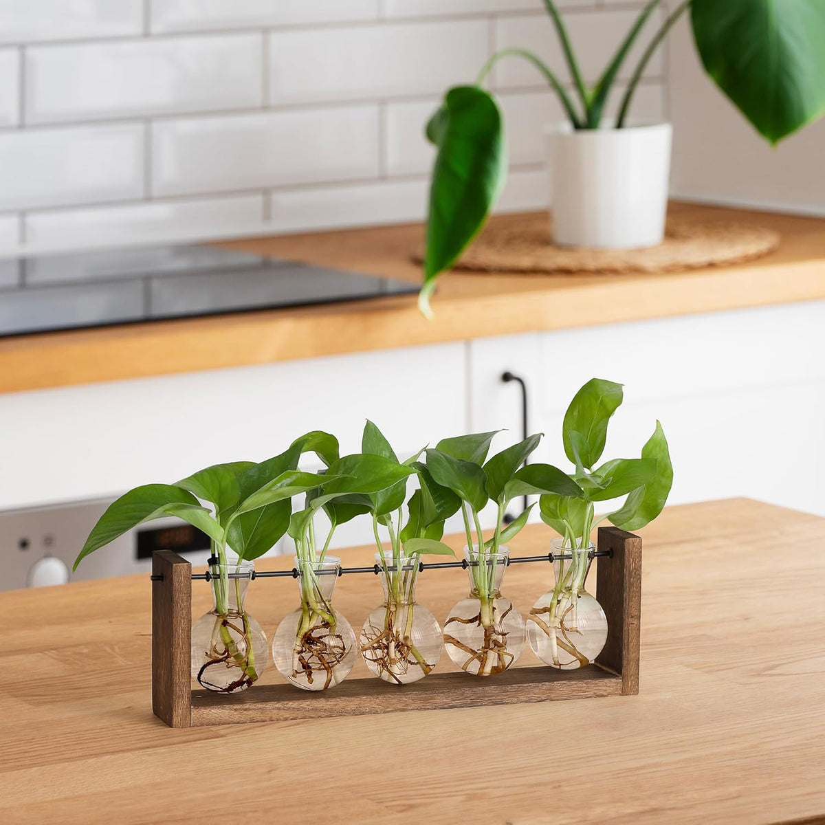 YIBOT Plants Propagation Stations,Plant Terrarium with Wooden Stand,Wall Hanging Glass Planter