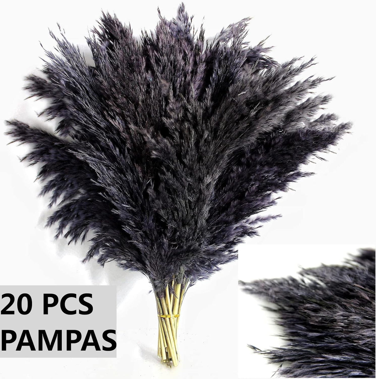 Black Pampas Grass for Home Decor - Elegant Boho Decor - Premium Quality Pampas Grass Stems