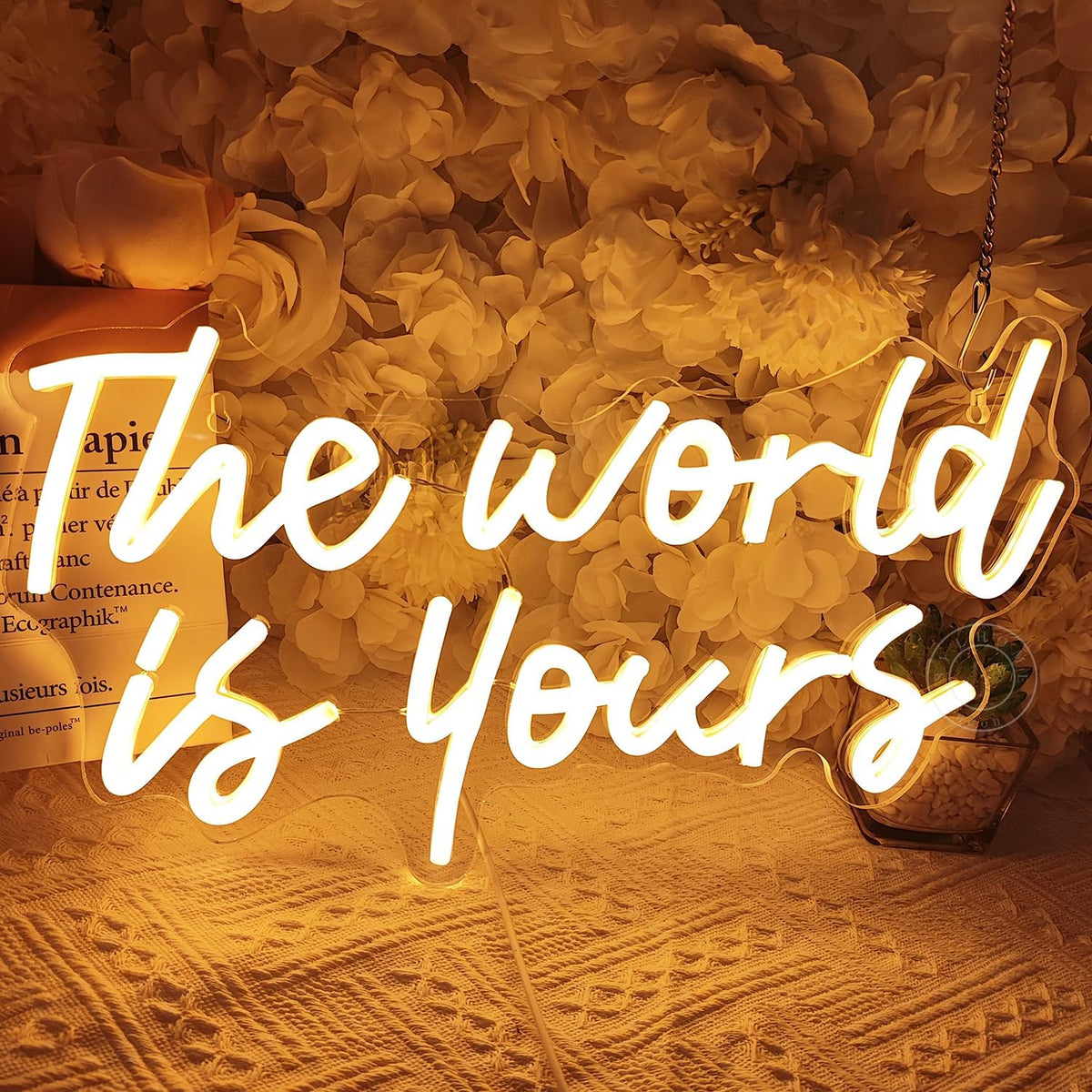 SYLHOME The World Is Yours Led Neon Light Sign Cool Bedroom Game Kids Room Wall Decor Sign Birthday