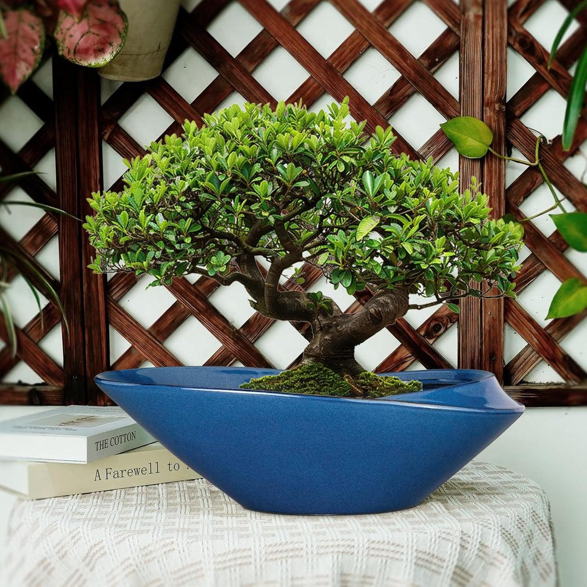 Bonsai Pot - 18 Inch Ceramic Planter for Indoor Outdoor Plants Bonsai Tree Pot Modern Large