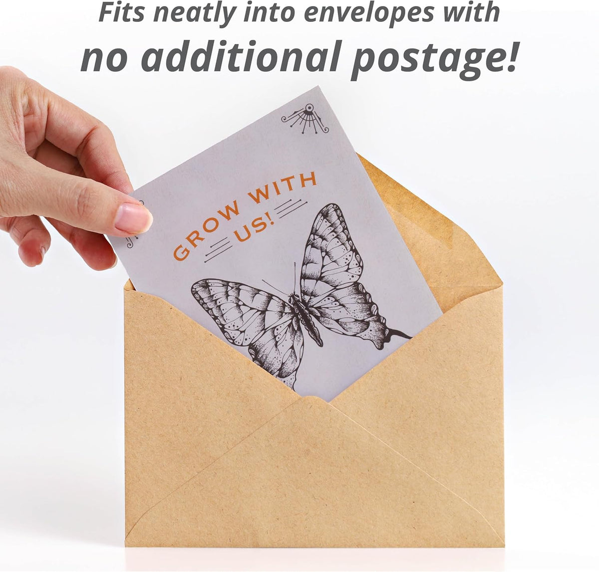 Bentley Seeds Grow with Us Pre Filled Butterfly Mix Seed Packets - 25 Individual Assortment