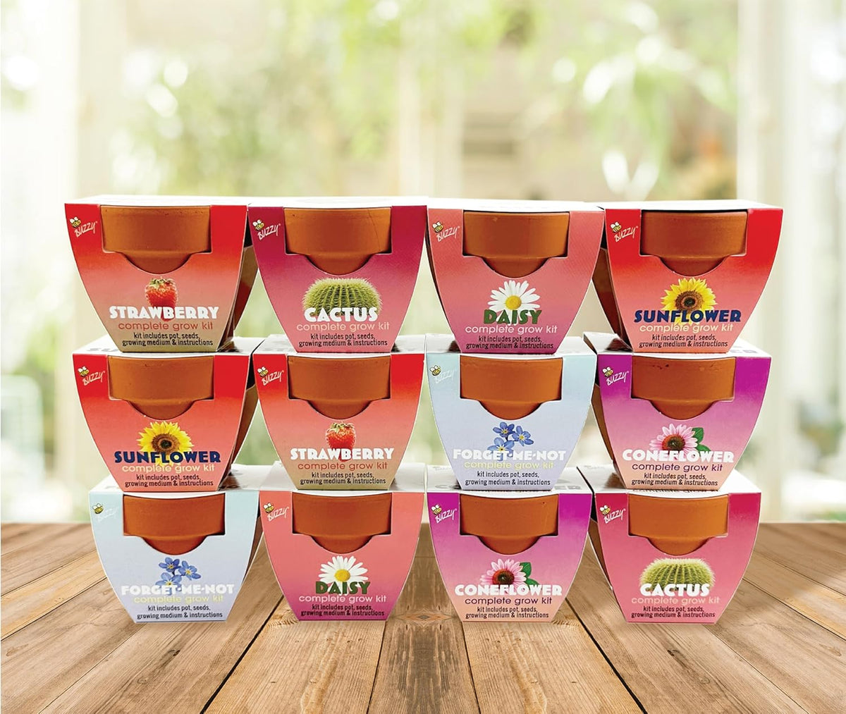 BUZZY Seeds Terracotta Mini Grow Pots | Herb, Plant, Flower Starter Kit for Kids & Adults |
