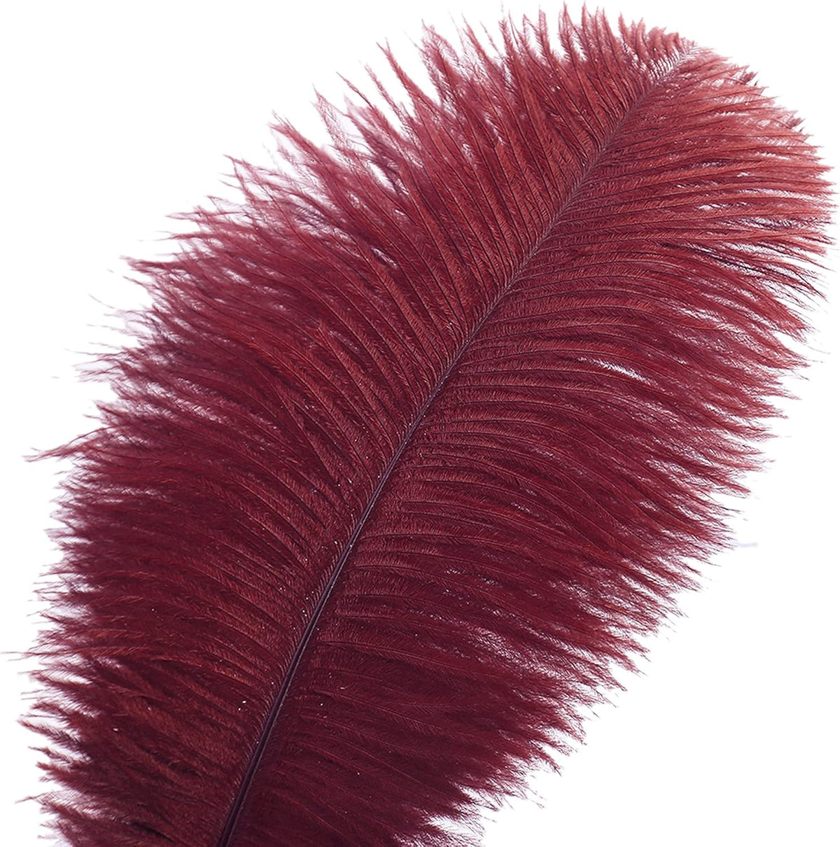 Ballinger Big Burgundy Ostrich Feathers - 24Pcs 12-14inch Wine Red Feathers for Party Centerpieces