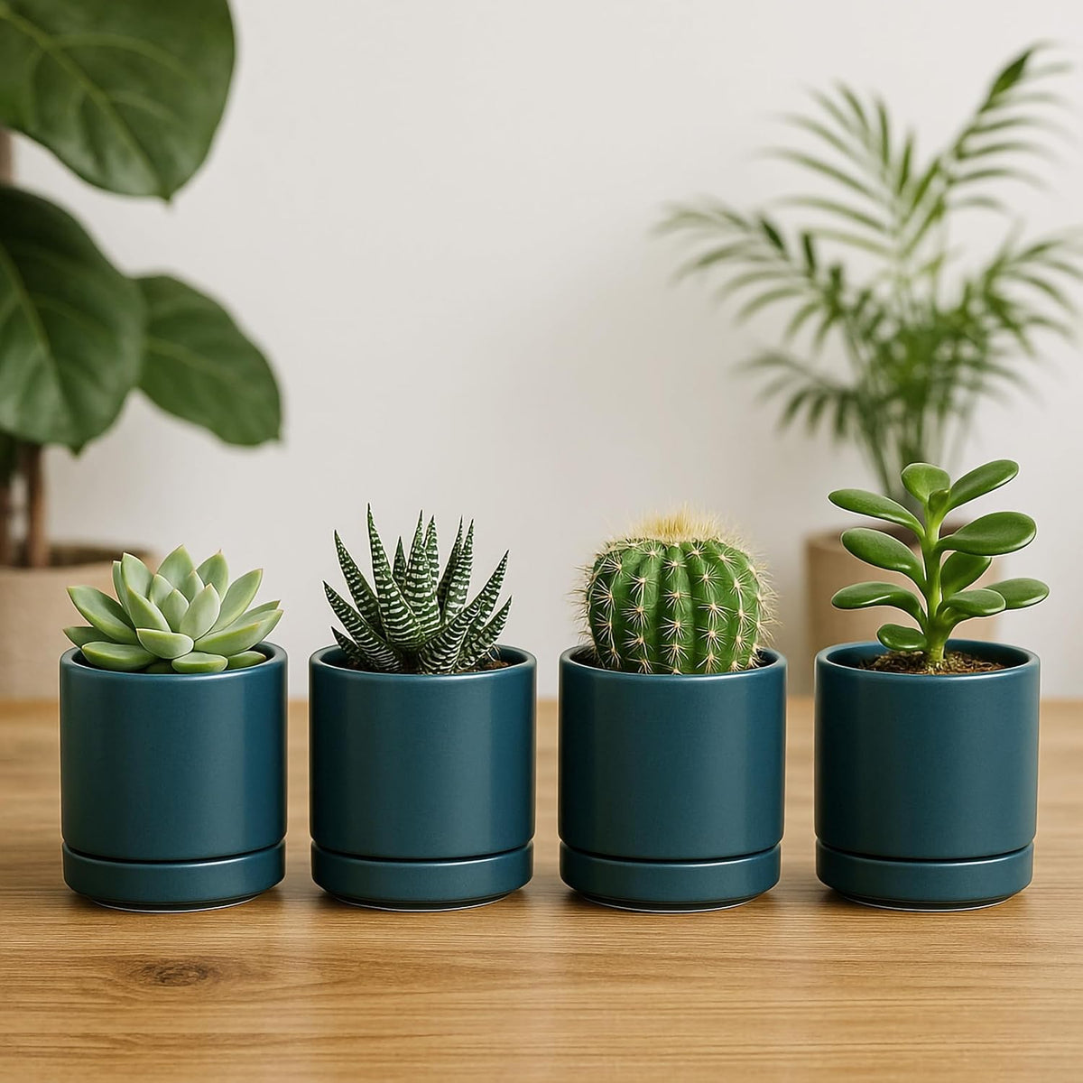 D'vine Dev Set of 4 Small Ceramic Plant Pots, 3.5 Inch Succulent Planter Pot for Plants with