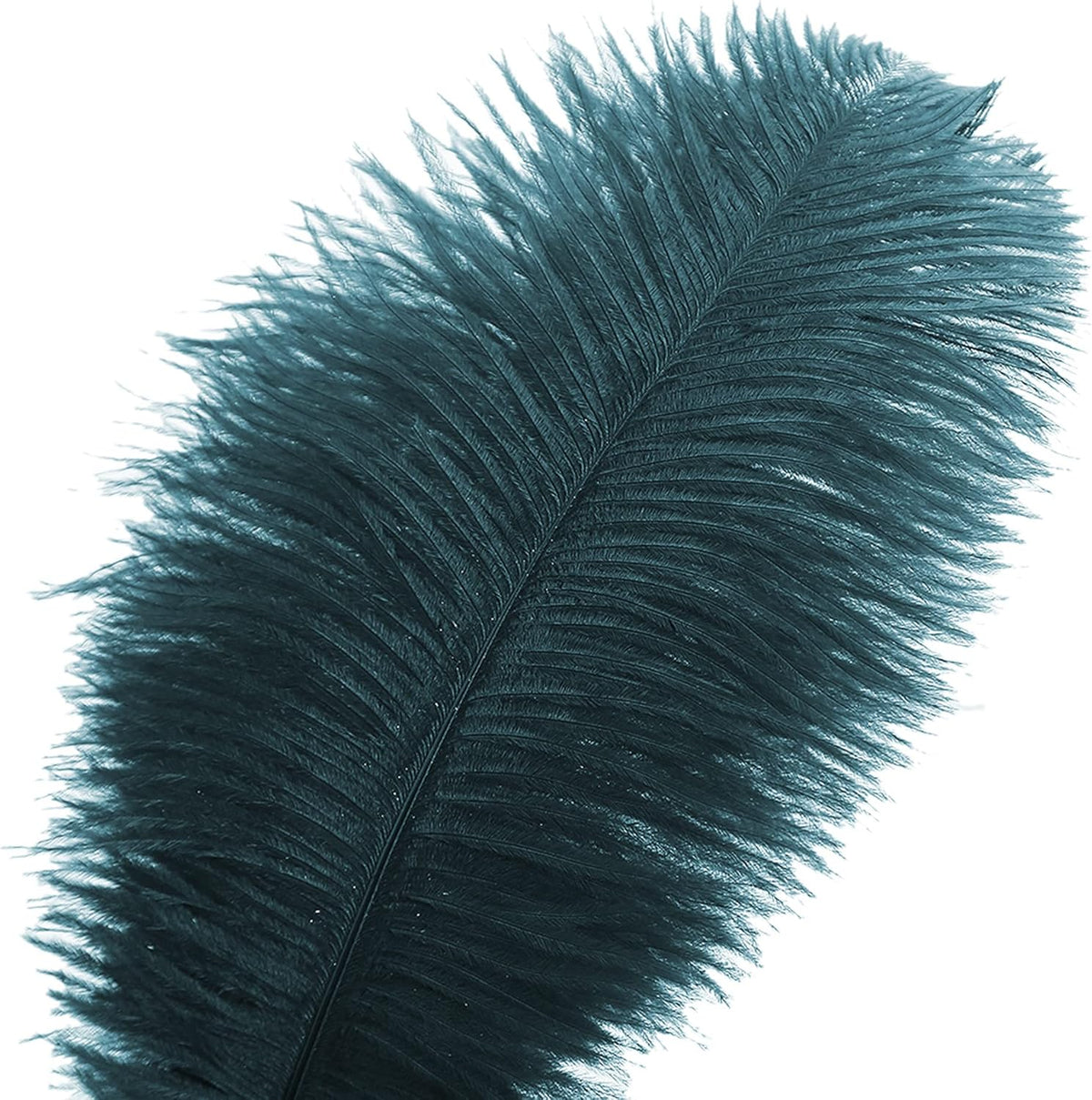 Ballinger Teal Ostrich Feathers Bulk - 24Pcs 8-10inch Feathers for Party Centerpieces,DIY Crafts