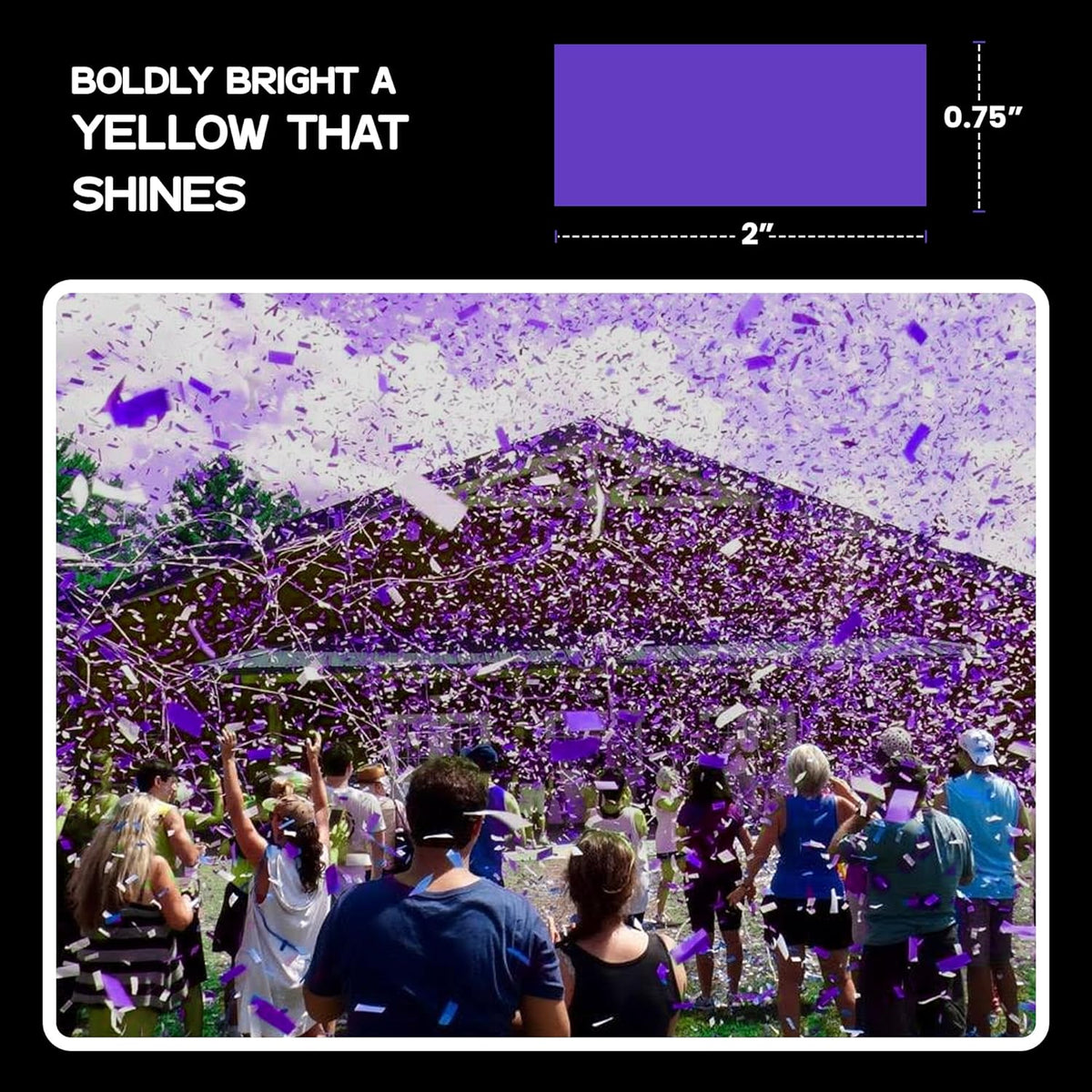 Purple Biodegradable Confetti - Rectangular Fluttering Tissue Paper Confetti for Cannon and