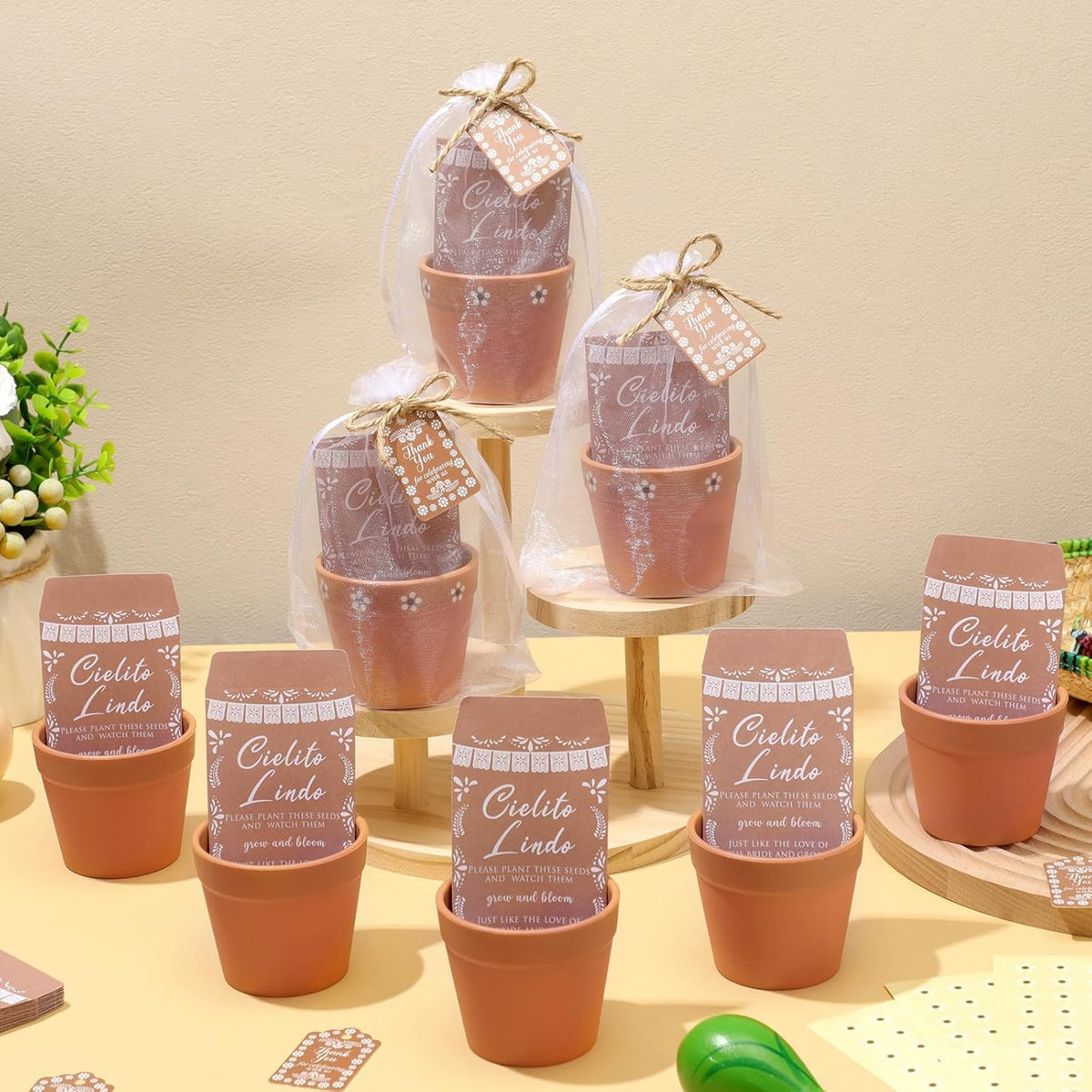 Ctosree 50 Sets Cielito Lindo Wedding Bridal Shower Favors for Guests Include Seed Packets