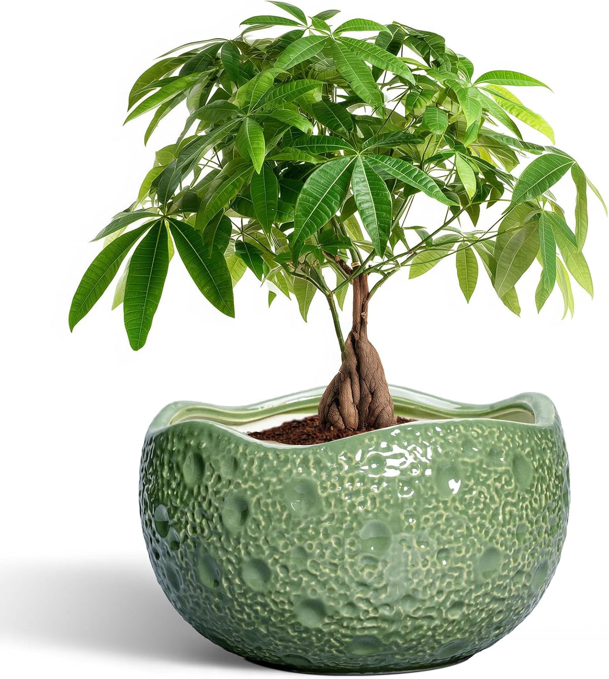 Ceramic Pots for Plants - 10 Inch Plant Pot for Indoor Outdoor, Round Bonsai Pots with Drainage