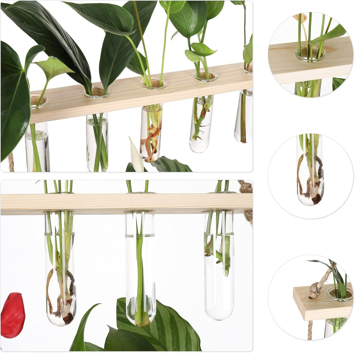 YIBOT Propagation Stations,3 Tiered of Propagation Tubes with Wooden Stand,Mini Glass Test Tubes