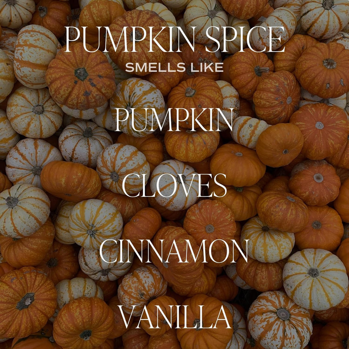 Sweet Water Decor Pumpkin Spice Candle - Fall Candles with Pumpkin, Clover, Cinnamon & Vanilla