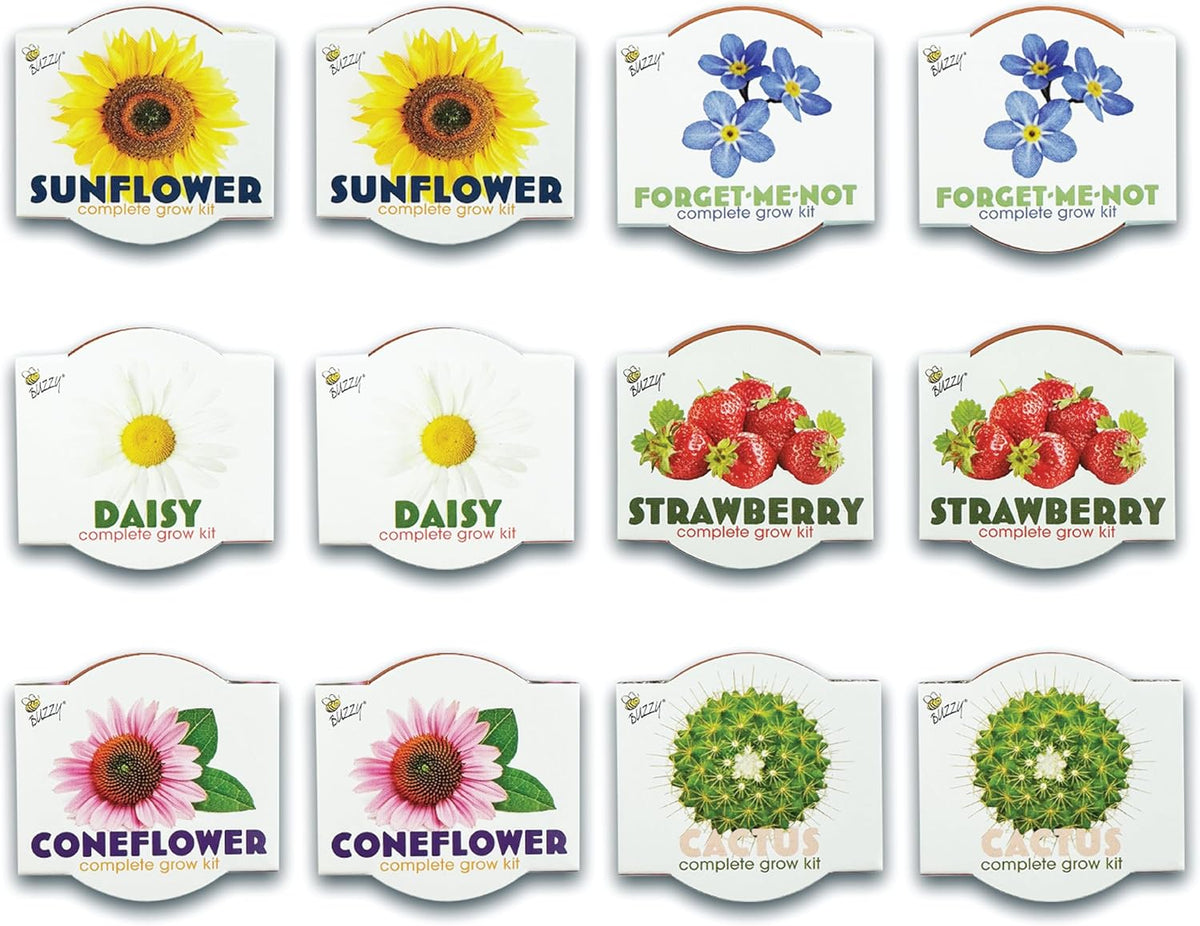 BUZZY Seeds Terracotta Mini Grow Pots | Herb, Plant, Flower Starter Kit for Kids & Adults |