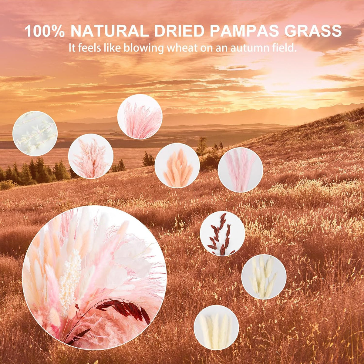 N&T NETING 85Pcs Pink Pampas Grass Decor, Natural Dried Floral Pampas Grass, Boho Home Decor