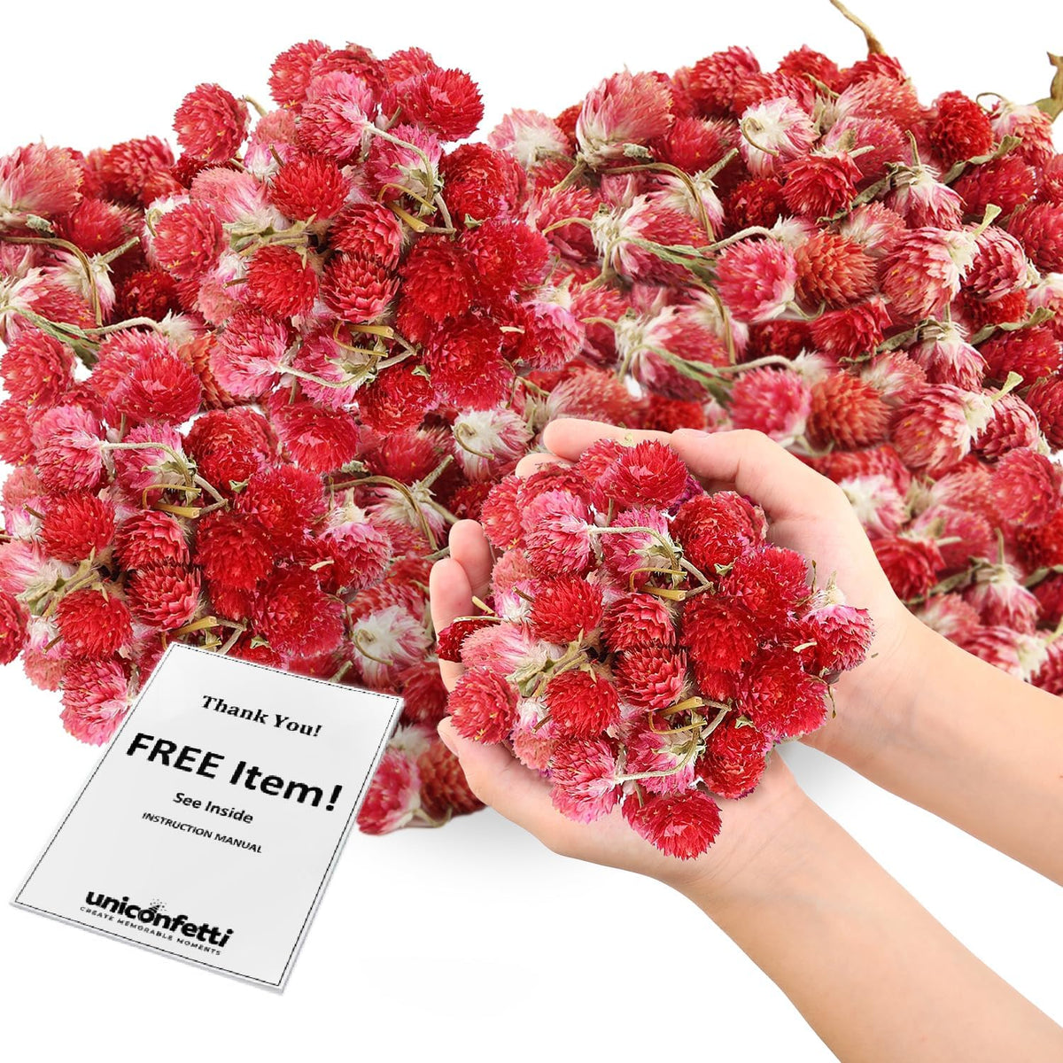 Dried Flower Red Plum Biodegradable Confetti - Real Flower Petals for Weddings, Flower Girl Toss