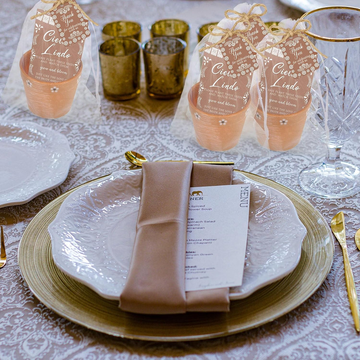 Ctosree 50 Sets Cielito Lindo Wedding Bridal Shower Favors for Guests Include Seed Packets