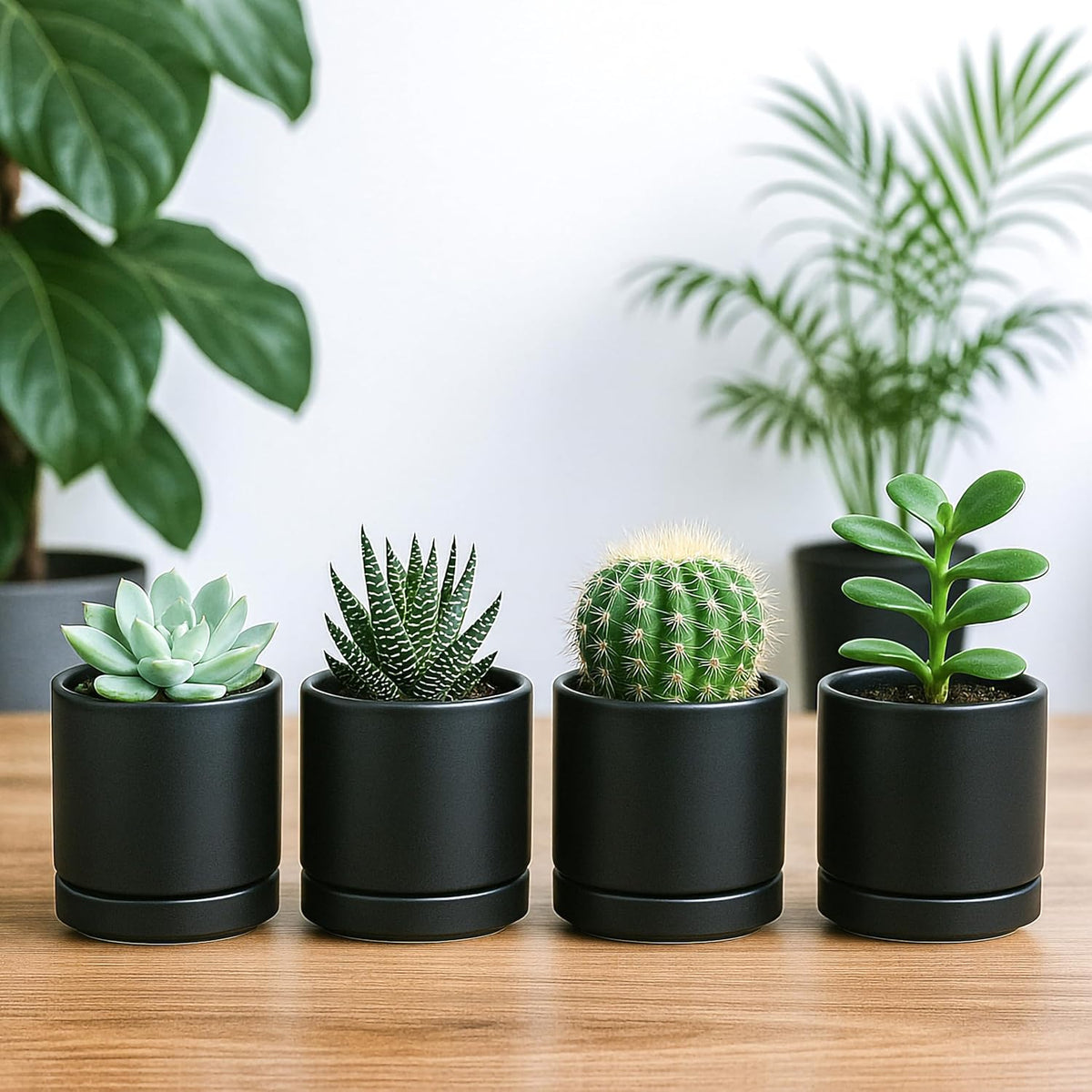 D'vine Dev Set of 4 Small Ceramic Plant Pots, 3.5 Inch Succulent Planter Pot for Plants with