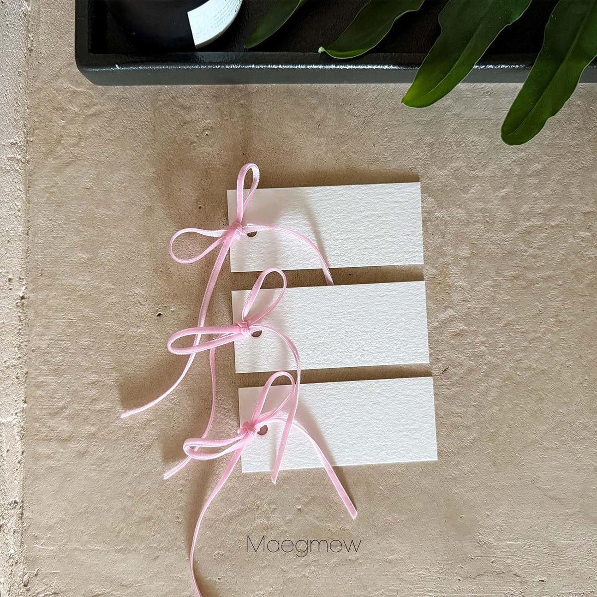 50 Pcs Place Cards for Table Setting -3.94"X1.57" Table Place Cards with Velvet Ribbon,Name Cards