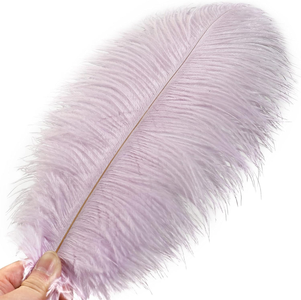 Ballinger Light Purple Ostrich Feathers - 24Pcs 10-12inch Lavender Feathers for Party