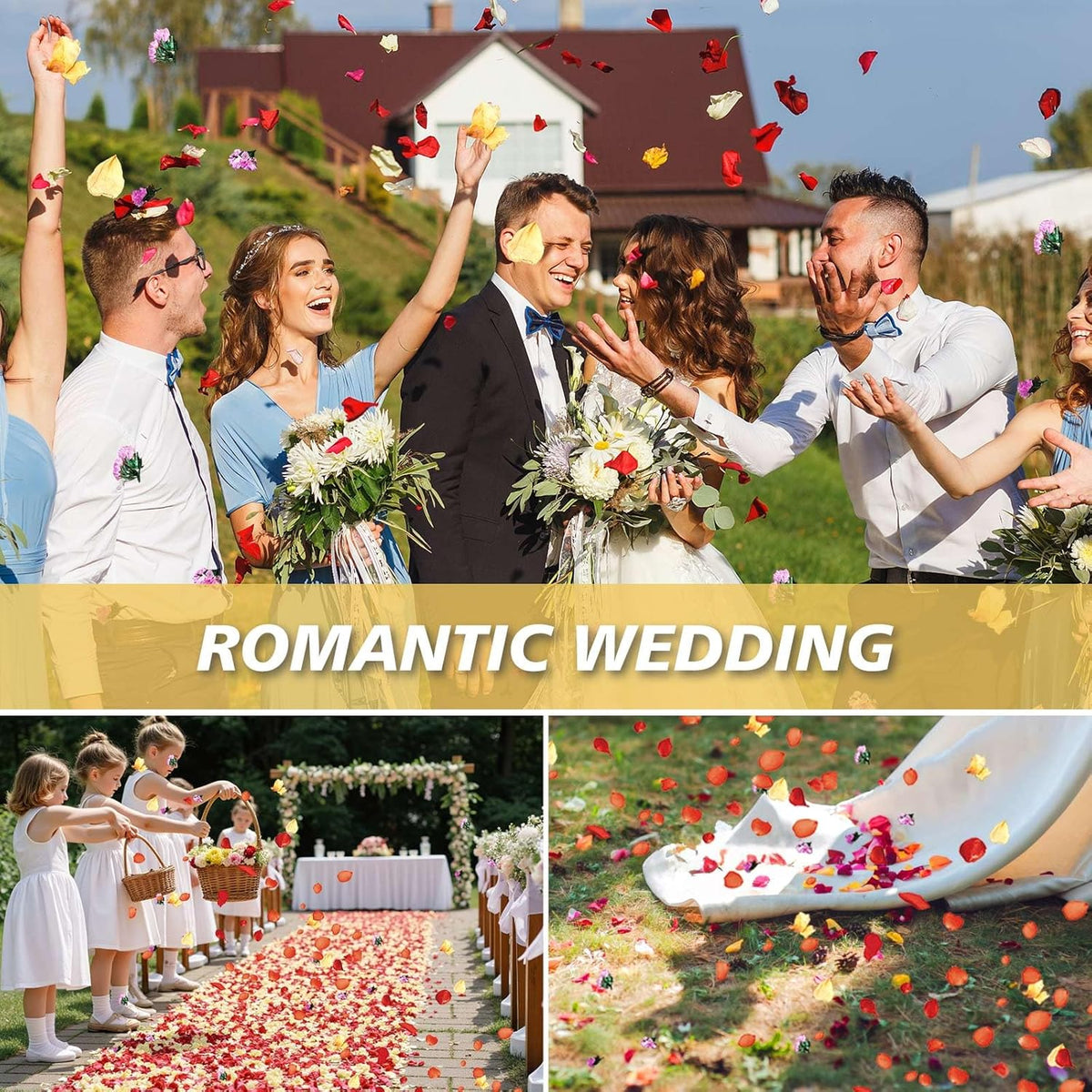 20+ Cups Real Dried Flower Petals, Biodegradable Wedding Flower Confetti, Mix Rose Petals and