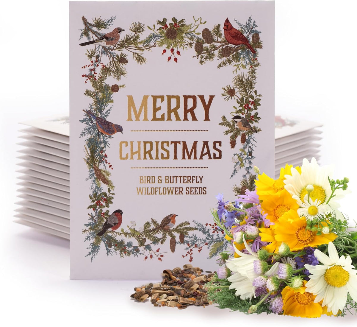 Bentley Seeds Co. Merry Christmas Wreath of Birds Holiday/Christmas Gift Tags | Non-GMO, Non Coated