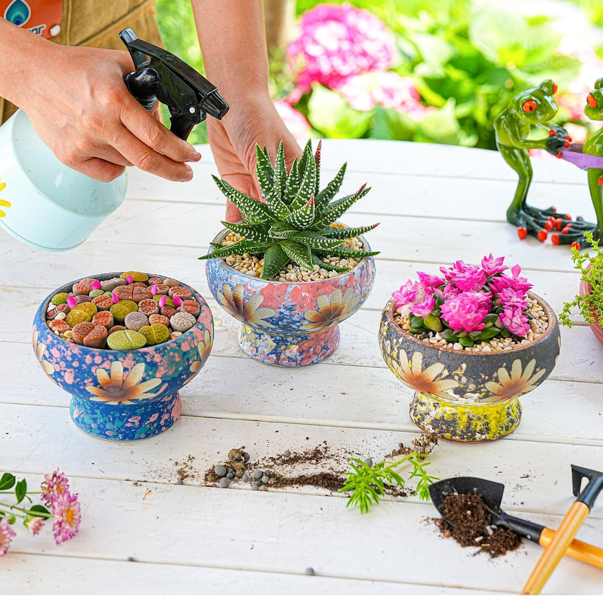 Sungmor Small Succulent Planters Set of 3, Beautiful Hand Crafted Ceramic Plant Pots Cute Cactus
