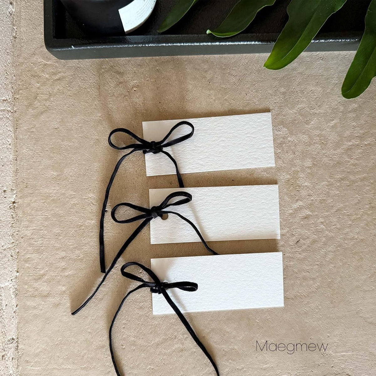 50 Pcs Place Cards for Table Setting -3.94"X1.57" Table Place Cards with Velvet Ribbon,Name Cards