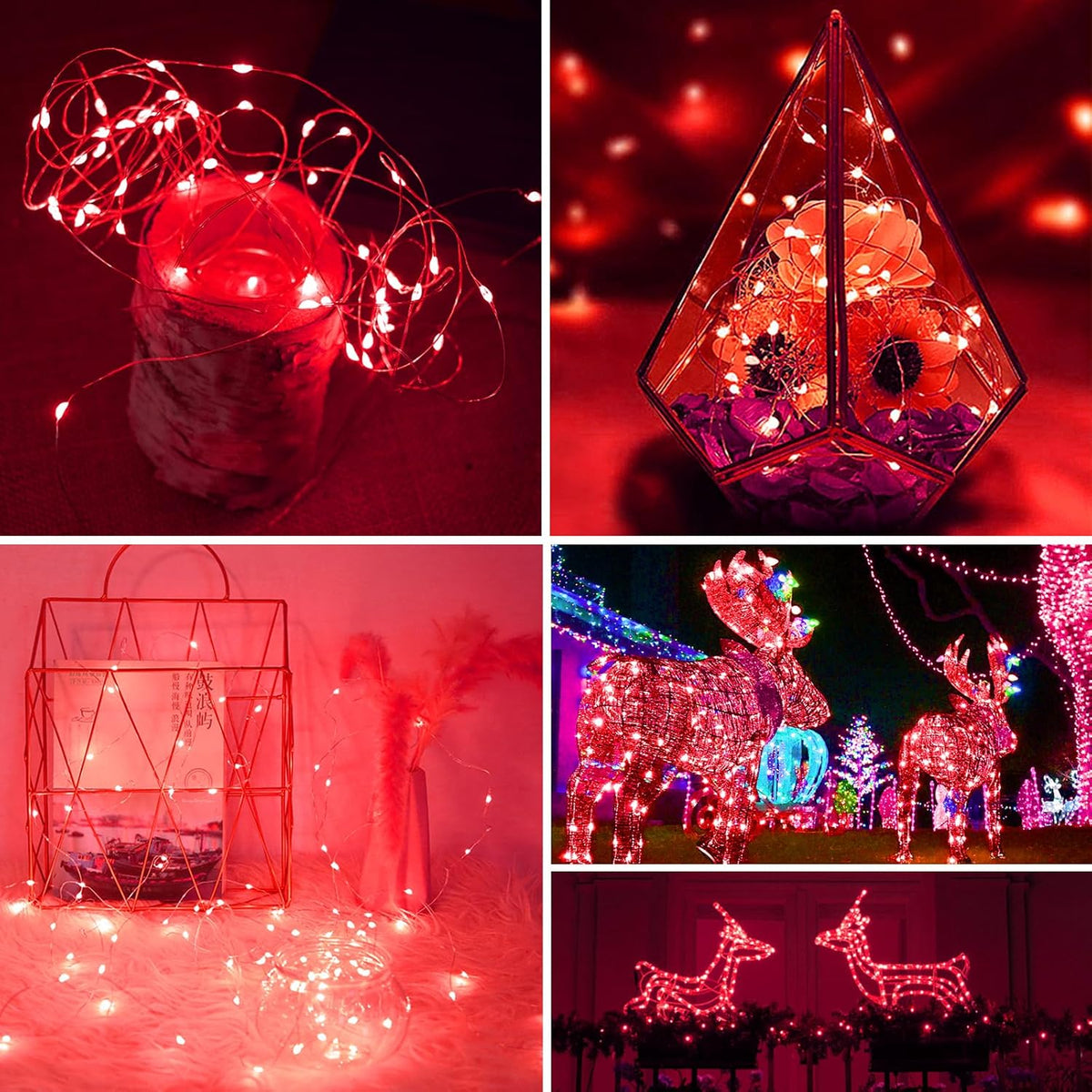 ZGWJ 100 Pack Fairy Lights Battery Operated, 7ft 20 Mini LED Fairy String Lights Silver Wire 3