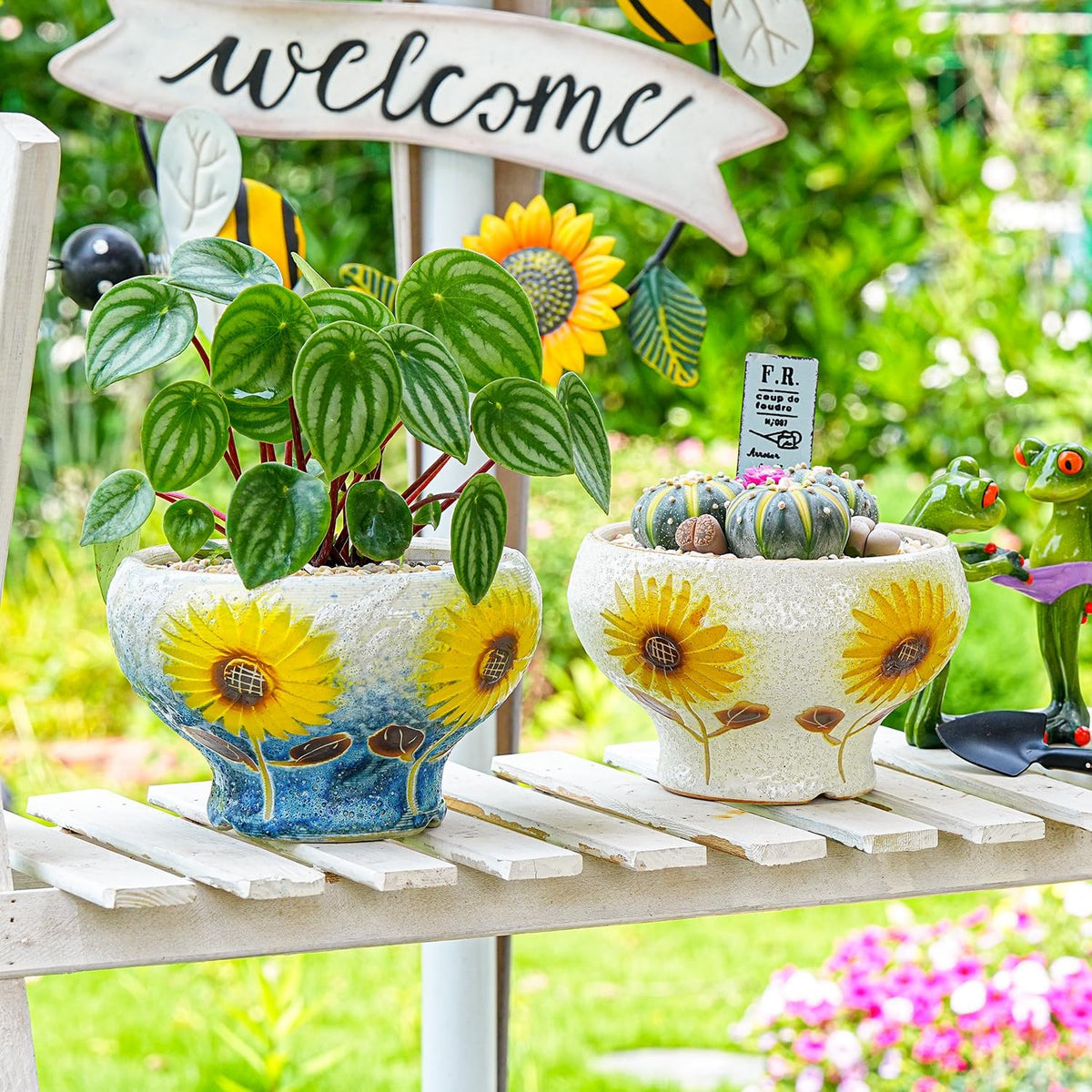 Sungmor Small Succulent Planters Set of 2, Beautiful Hand Crafted Ceramic Plant Pots Cute Cactus