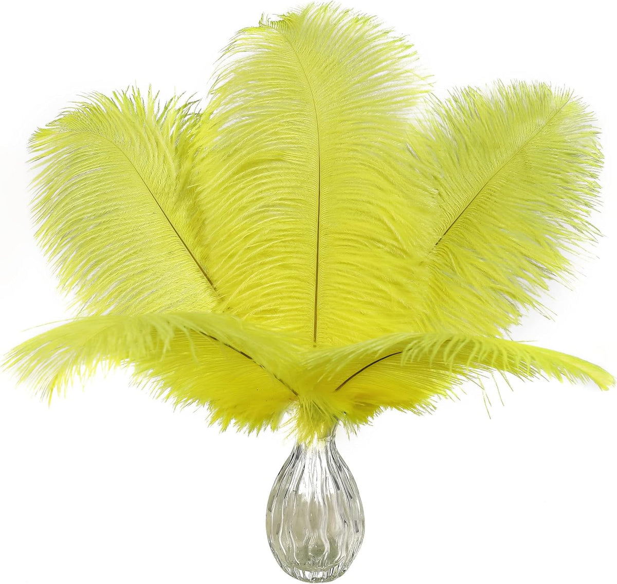 Ballinger Fluorescent Yellow Ostrich Feathers - 24Pcs 10-12inch Feathers Bulk for Vase, Party