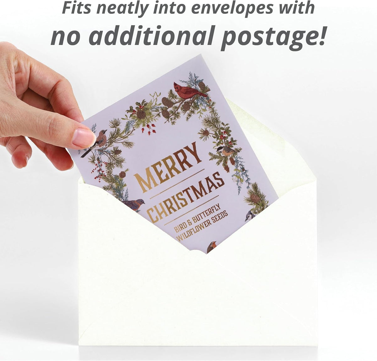 Bentley Seeds Co. Merry Christmas Wreath of Birds Holiday/Christmas Gift Tags | Non-GMO, Non Coated