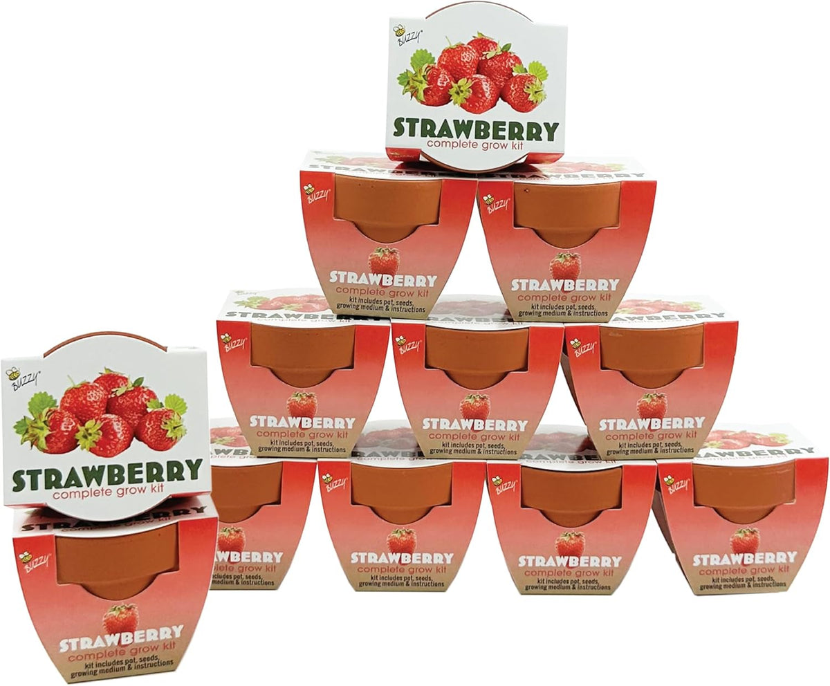 BUZZY Seeds Mini Terracotta Grow Pots | Alpine Strawberry DIY Plant Kit for Kids & Adults | 12-Pack