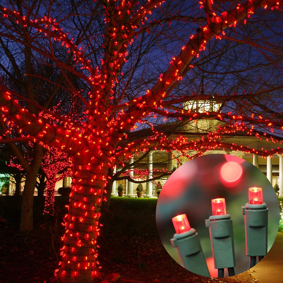 Red Wide Angle LED Christmas Lights, 64.8 Ft 300 Count, Pack of 3 Strands 21.9 Ft 100 Lights UL
