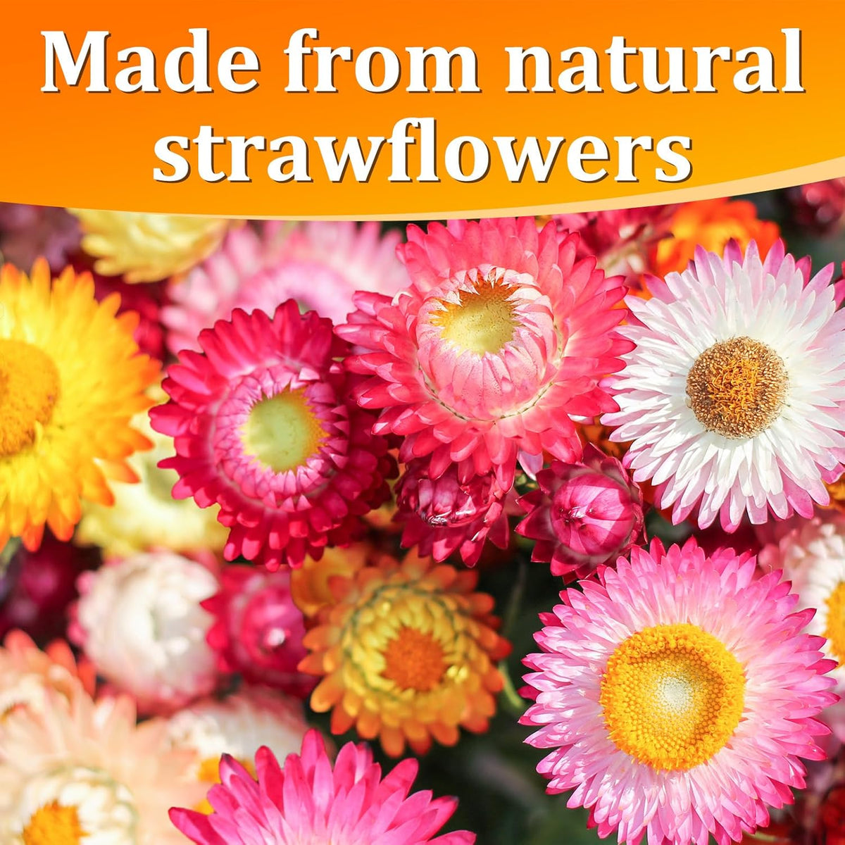 30+ Edible Dried Mixed Flowers – 25g Food Grade Natural Blooms for Cake Decorating, Tea, Cocktails