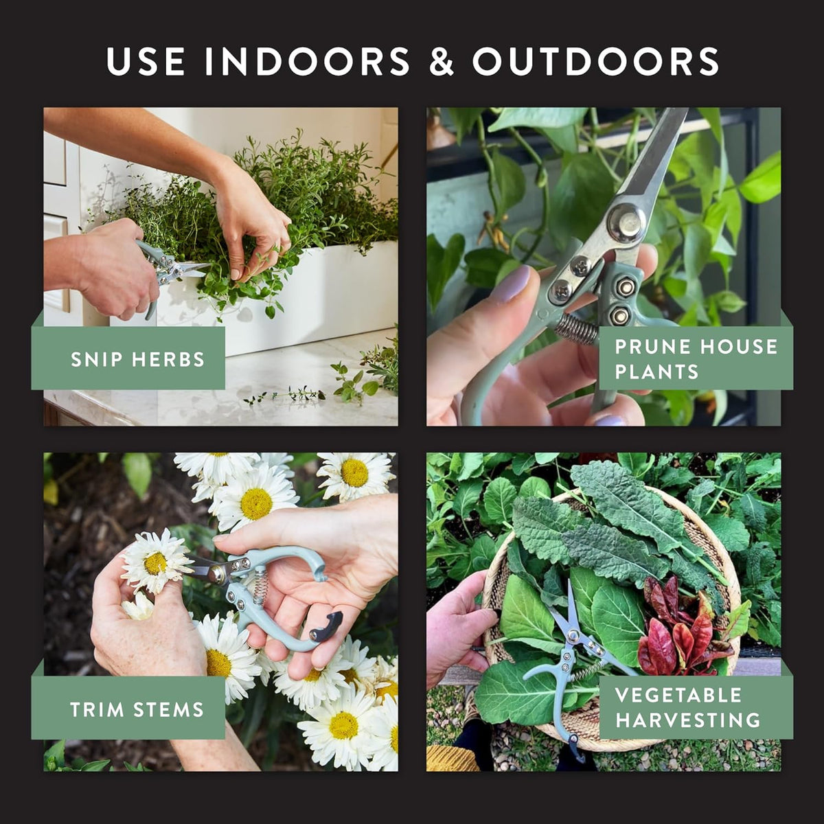 Modern Sprout Pruning Shears - Herb Snipping Scissors- Lightweight Gardening Tools W/Easy Lock
