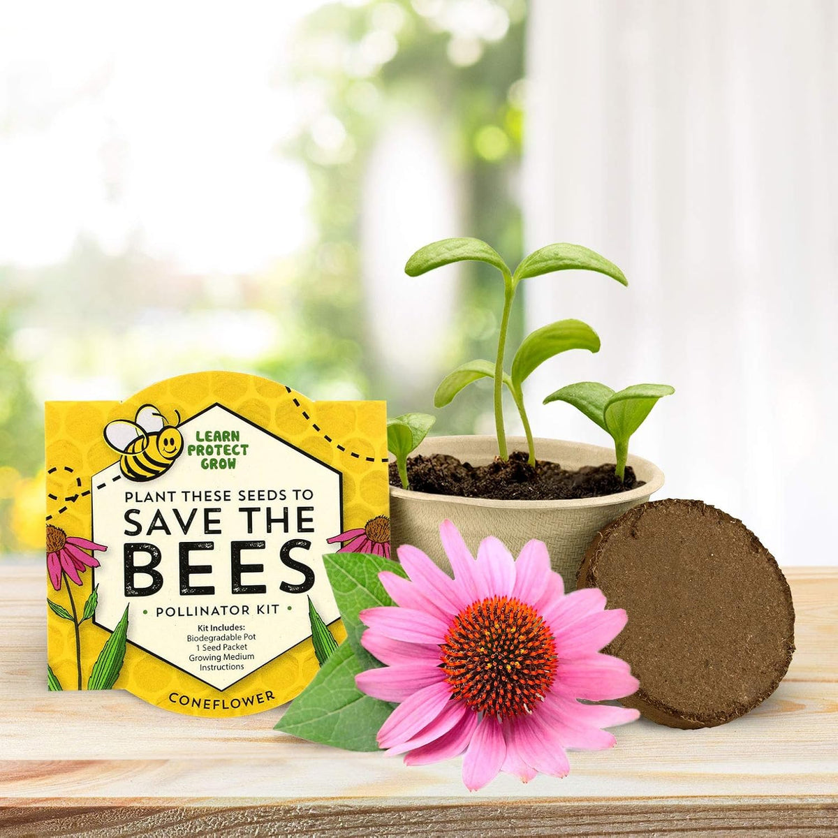 Buzzy Seeds Save The Bees Biodegradable Grow Kit | Herb, Plant, Flower Starter Kit for Kids &
