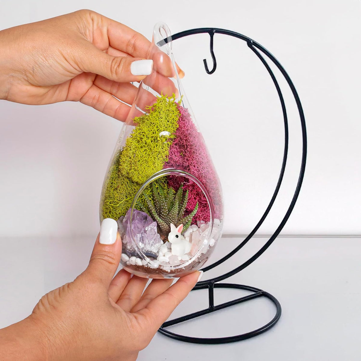 7" DIY Teardrop Terrarium Kit with Live Plants - Hanging Glass Planter with Stand for Adults & Kids