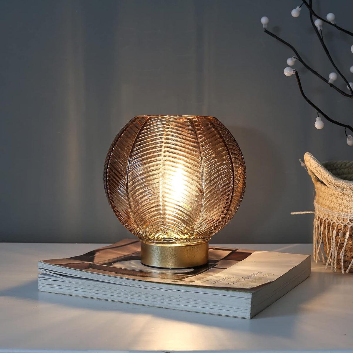 Battery Operated Lamp with Timer, Cordless Table Lamps with Bulb, Battery Powered Light, Small
