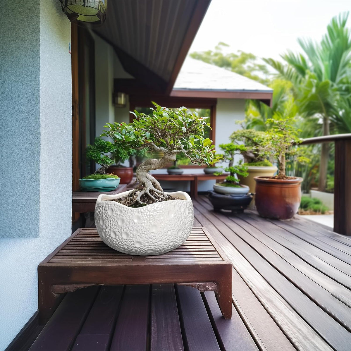 10 Inch Plant Pot - Ceramic Planter for Indoor Outdoor, Round Bonsai Pots, Decorative Flower Pots