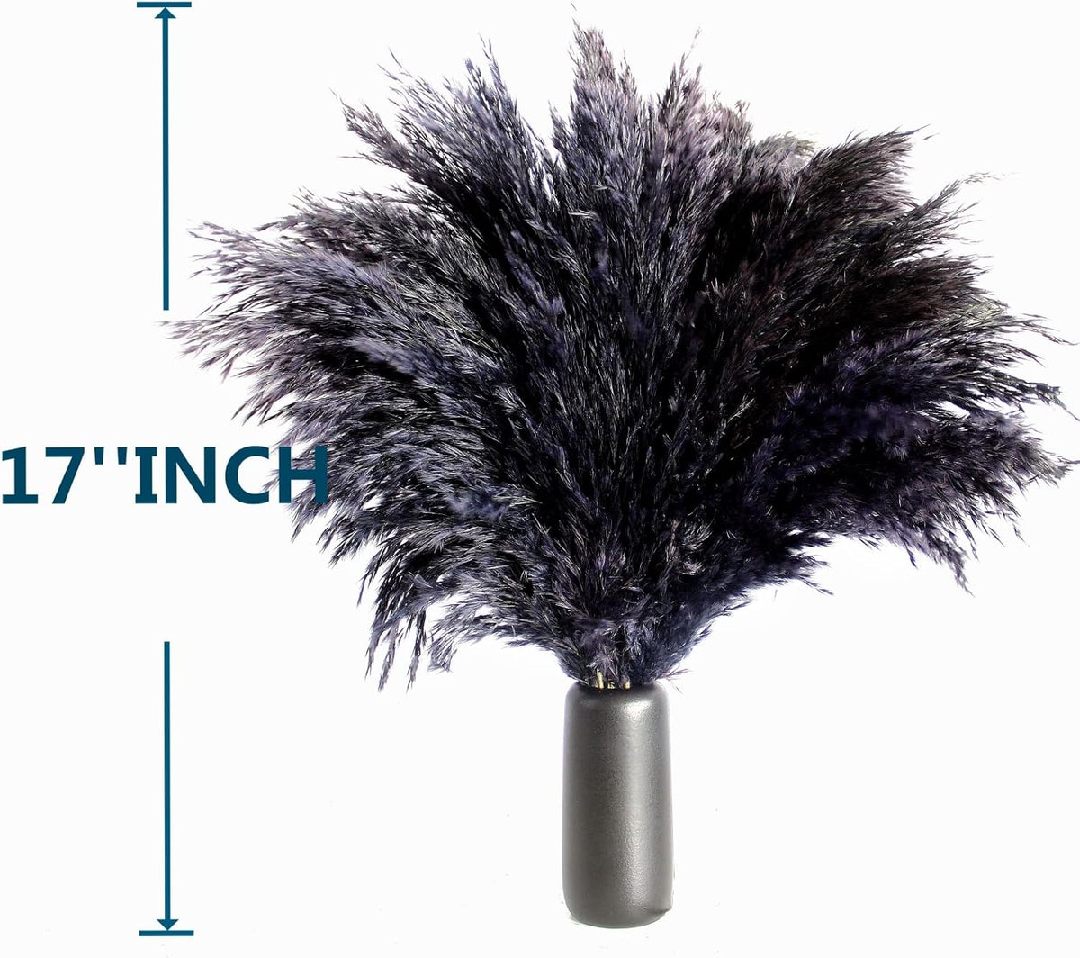 Black Pampas Grass for Home Decor - Elegant Boho Decor - Premium Quality Pampas Grass Stems
