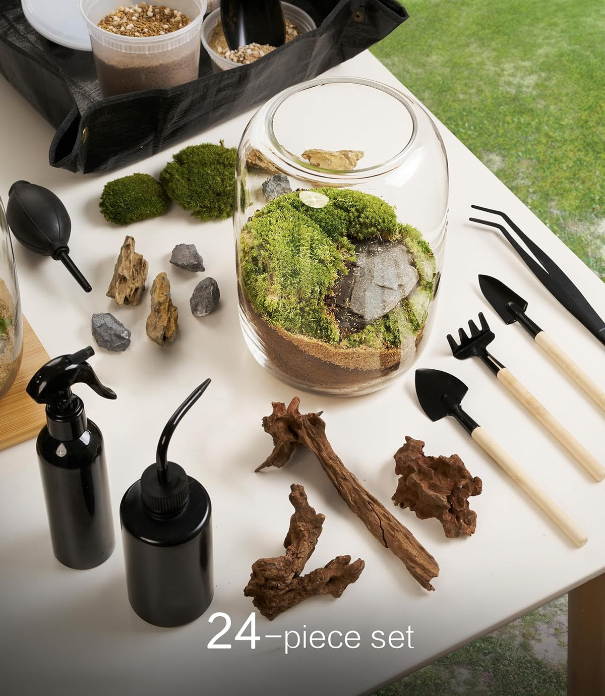 Terrarium Kit with Grow Light, Succulent Plants, Mini Gardening Set - Includes Jar, Tools, Moss