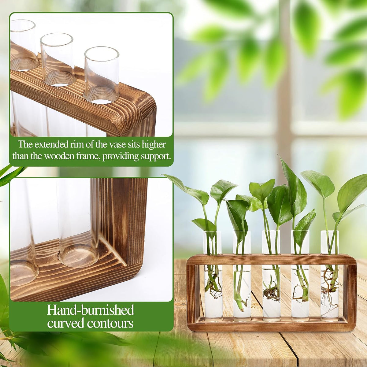 Glass Plant Propagation Station with 5 Test Tubes Colorful Planter Vase Birthday Gifts for Women