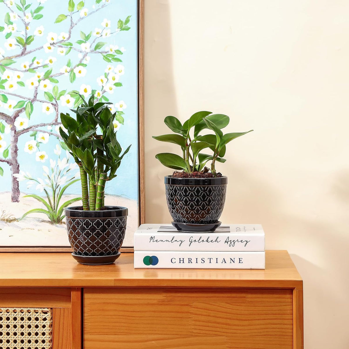 Sureasy Ceramic Plant Pots, 4.7 Inch Flower Pots for Indoor Plants, Succulent Pots with Saucer and