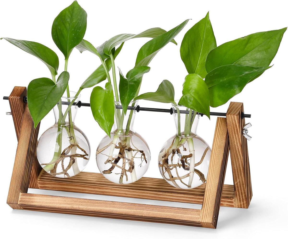 YIBOT Plants Propagation Stations,Desk Plant Terrarium with Retro Wooden Stand,Plant Lover Gifts