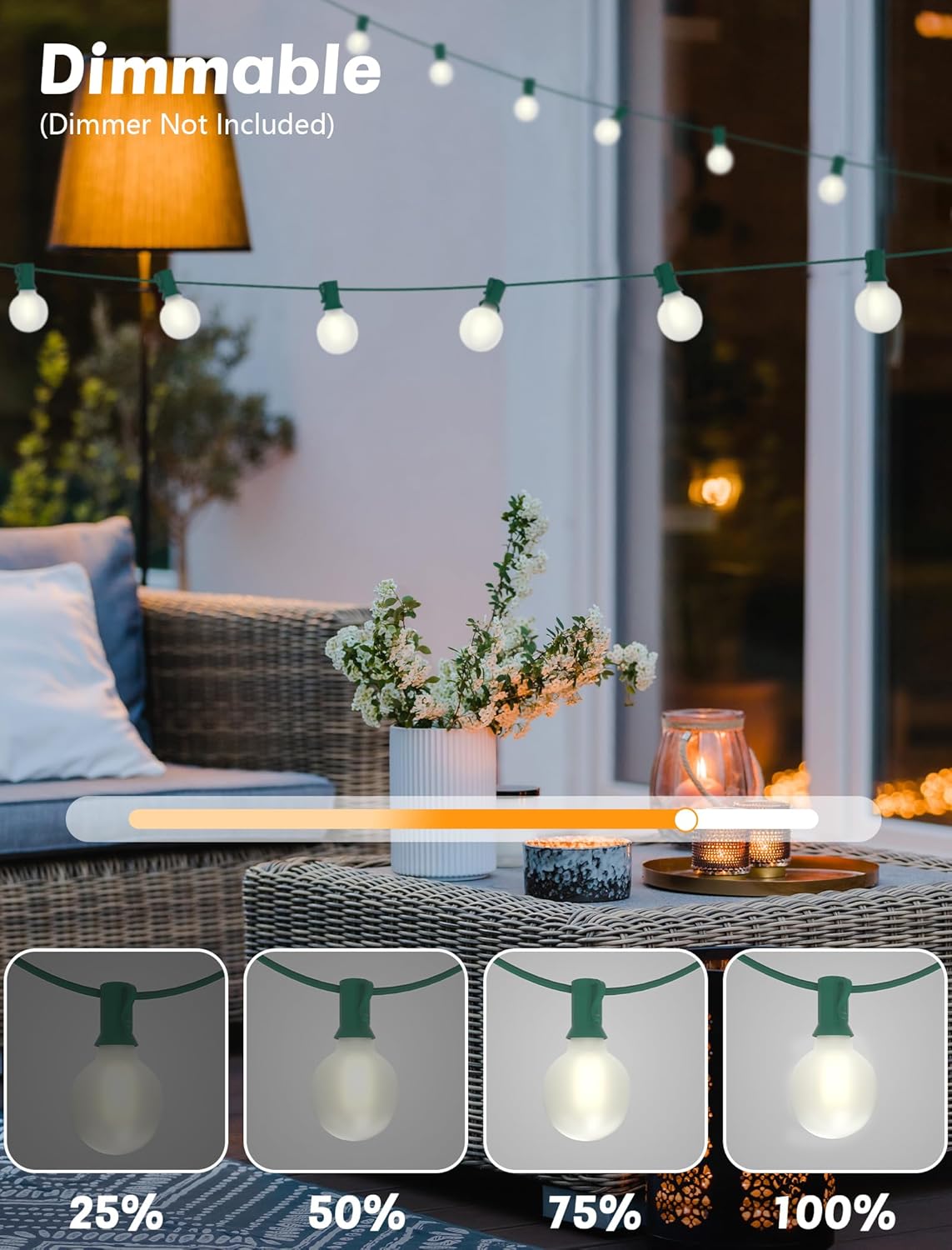 SUNSGNE 25Ft Globe Christmas Lights Outdoor, G40 LED Round Christmas Lights with 27 LED Frosted