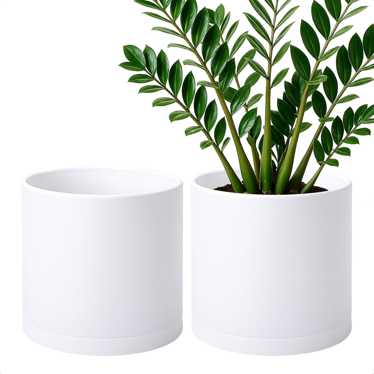 D'vine Dev 2 Pack 10 Inch Modern Plastic Plant Pots, Cylindrical Garden Planters for Plants with