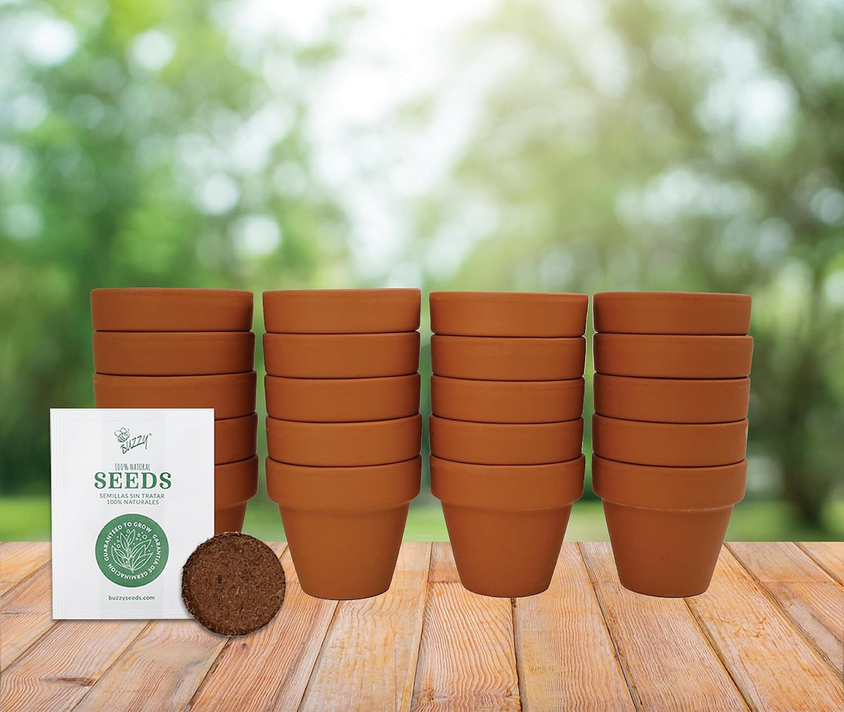 BUZZY Daisy Seeds & Genuine Terracotta 5cm Mini Pot Bulk Pack (20 Count), Includes 20 Each of pots