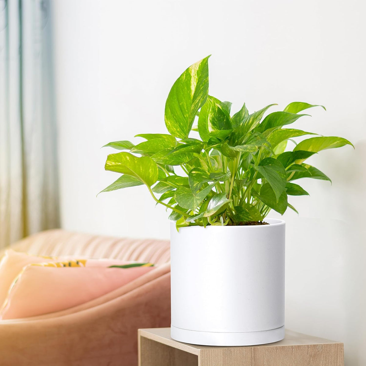 D'vine Dev 4 Pack 6.5 Inch Modern Plastic Plant Pots, Small Garden Planters for Plant with Drainage