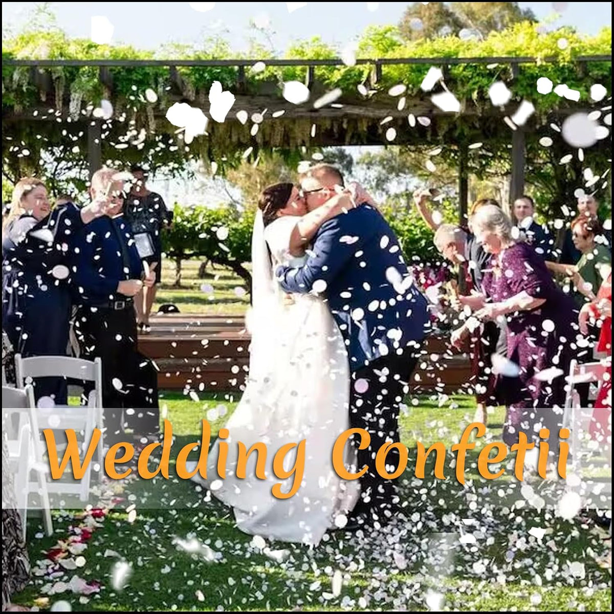 300 PCS Real White Rose Petals for Wedding, 2.82oz Fresh Rose Petals for Flower Girl to Throw