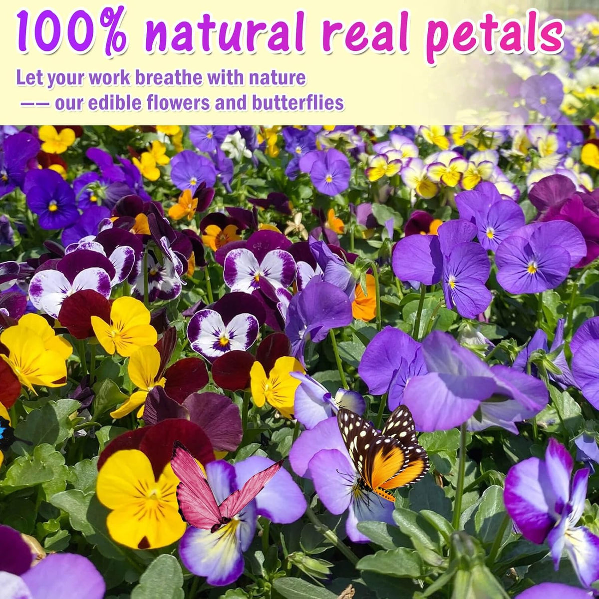 80 Pcs 8 Kinds Natural Real Dried Pressed Edible Flowers & Edible Butterflies for Cake Topper
